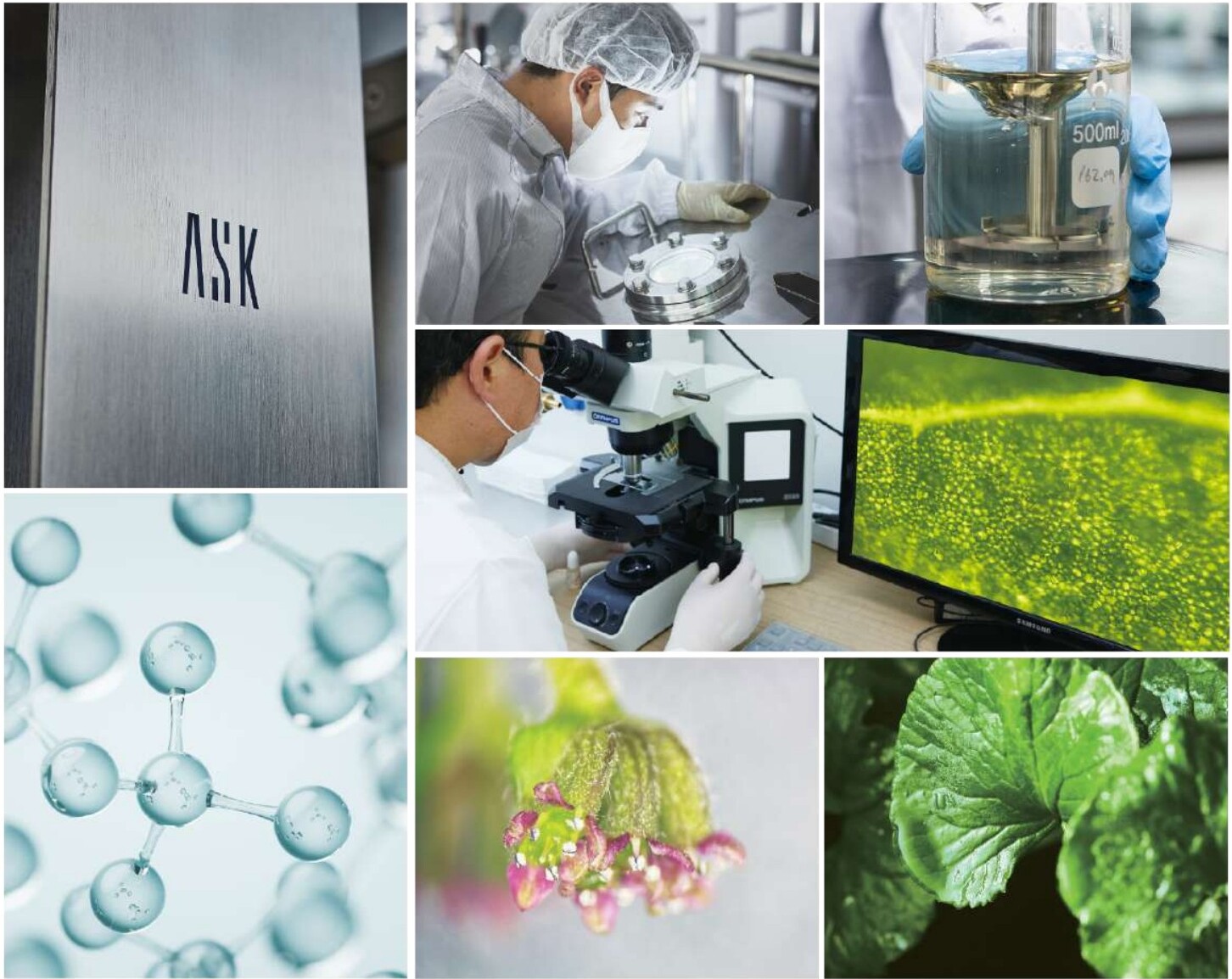 ASK Labs — laboratorio científico de RIMAN, evidencia y precisión farmacéutica